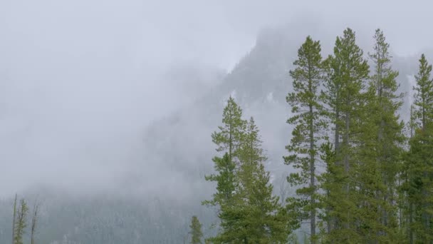 Overcast alpine view with mountain silhoette fragments through fog and clouds. — Stock Video