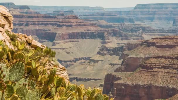 Καταπληκτική θέα του Grand Canyon ηλιοβασίλεμα Αριζόνα Ηνωμένες Πολιτείες. — Αρχείο Βίντεο