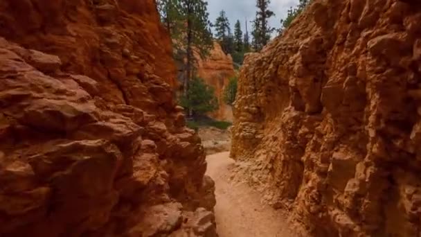 Sendero a pie en Bryce Canyon . — Vídeo de stock