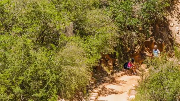 アリゾナ州のグランドキャニオンで歩くと楽しむ2人の女性 — ストック動画