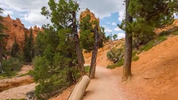 Bryce Kanyonu 'nda yürüyüş yolu. — Stok video
