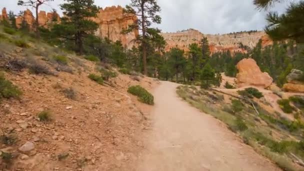 Wanderweg im Bryce Canyon. — Stockvideo