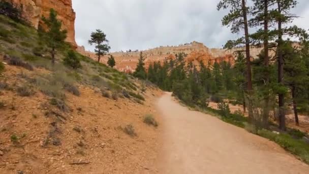 Szlak pieszy w kanionie Bryce. — Wideo stockowe