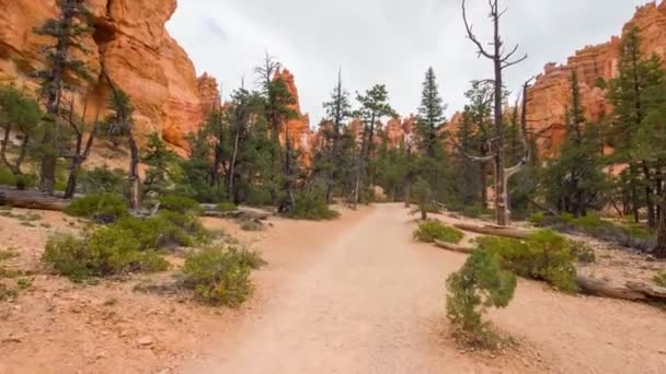 Wanderweg im Bryce Canyon. — Stockvideo