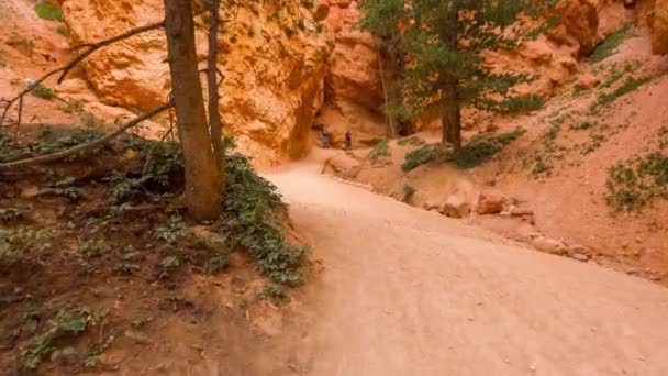Sétaút a Bryce kanyonban. — Stock videók