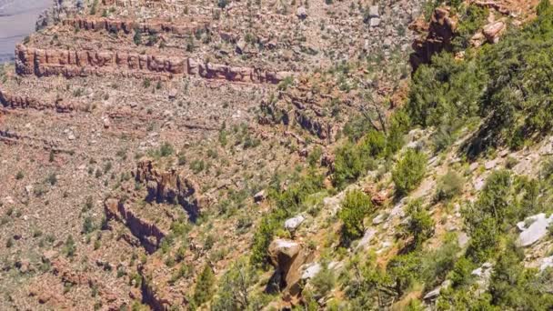 Formaciones de rocas en el Parque Nacional del Gran Cañón — Vídeos de Stock