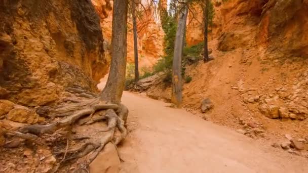 Sendero a pie en Bryce Canyon . — Vídeos de Stock