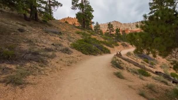 Sentier pédestre à Bryce Canyon . — Video