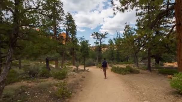 Sentiero a piedi nel Bryce Canyon . — Video Stock