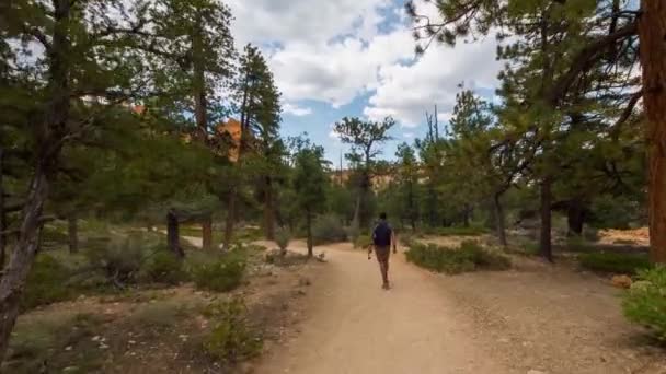 Wanderweg im Bryce Canyon. — Stockvideo