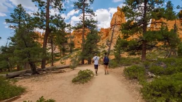 Wanderweg im Bryce Canyon. — Stockvideo