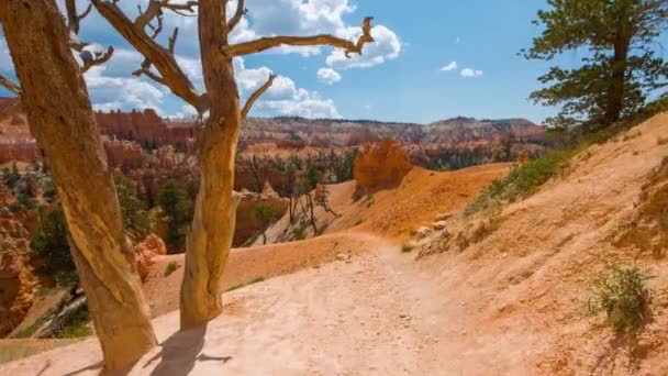 Sendero a pie en Bryce Canyon . — Vídeos de Stock