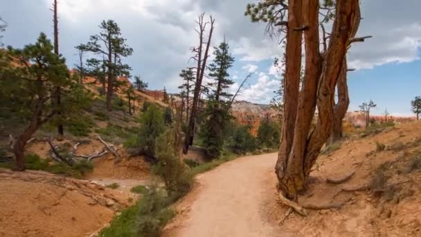Walking trail in Bryce Canyon. — Stock Video