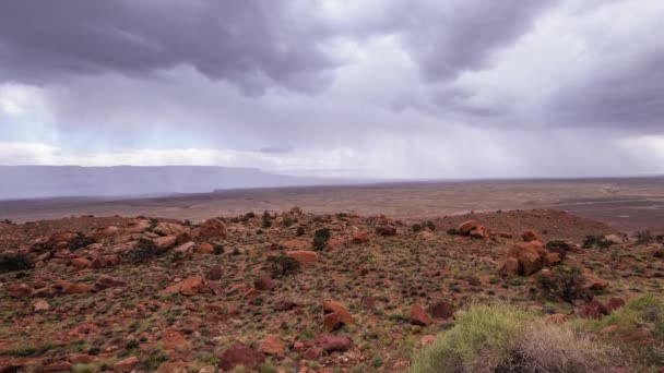 Amplio tiro de desierto en el gran cañón en un día soleado — Vídeo de stock