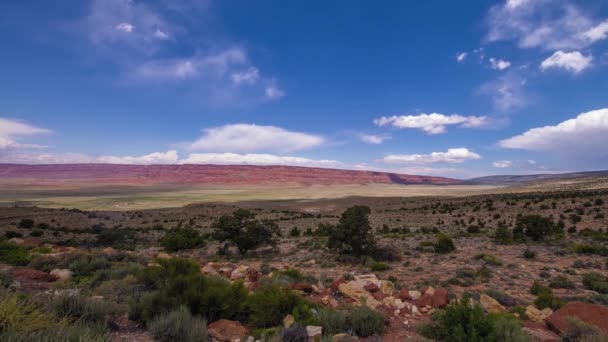 Un'ampia porzione di deserto nel grande canyon in una giornata di sole — Video Stock