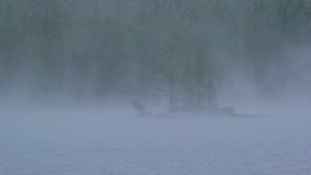 Bedeckter Alpenblick mit Gebirgssilhouetten-Fragmenten durch Nebel und Wolken. — Stockvideo
