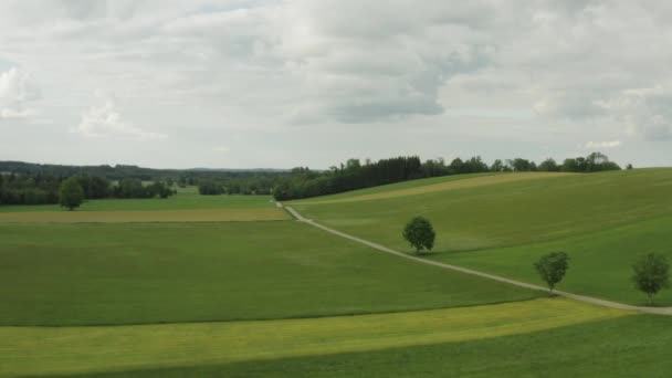 Uma estrada que atravessa as belas terras verdes — Vídeo de Stock