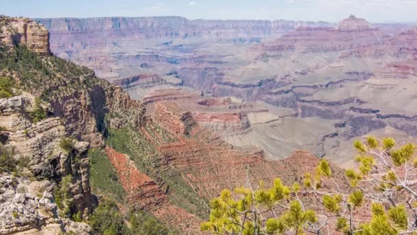 Gran cañón, EE.UU. con arbustos y hierba en un día soleado — Vídeos de Stock