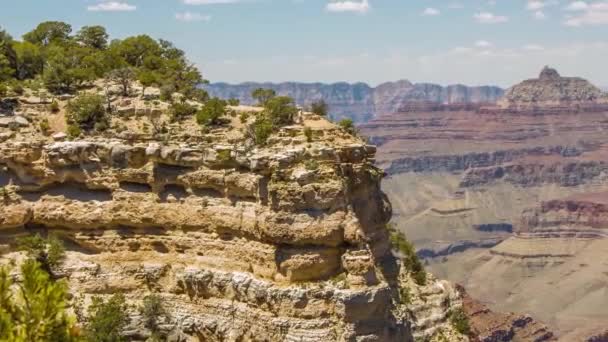 Gran cañón, EE.UU. con arbustos y hierba en un día soleado — Vídeo de stock