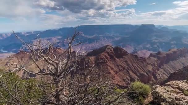 Grand canyon, сша с кустами и травой в солнечный день — стоковое видео