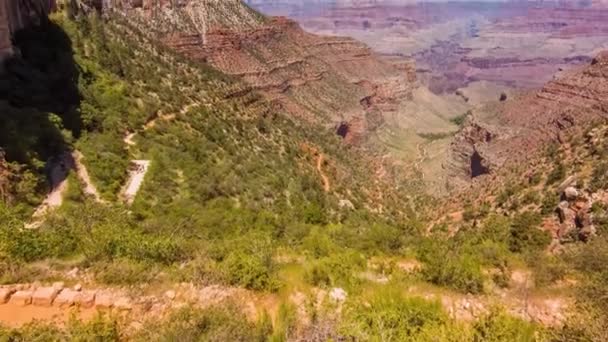 Grand canyon, usa with bushes and grass on a sunny day — Stock Video