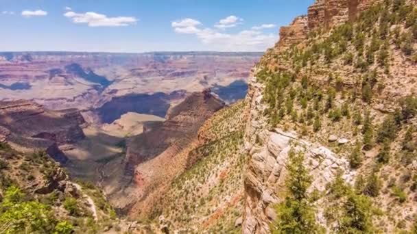 Grand canyon, usa con cespugli ed erba in una giornata di sole — Video Stock