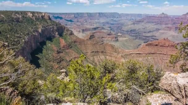 Grand canyon, usa met struiken en gras op een zonnige dag — Stockvideo