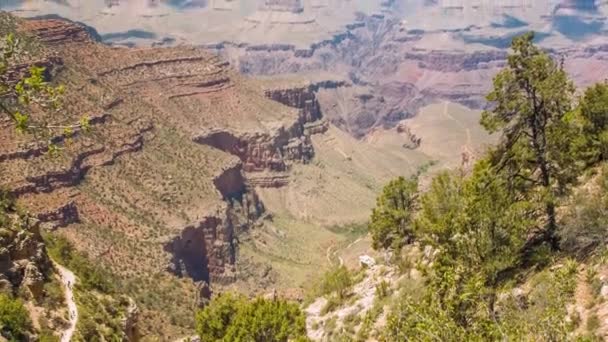 Wielki Kanion, usa z krzakami i trawą w słoneczny dzień — Wideo stockowe