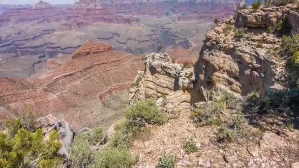 Grand canyon, usa with bushes and grass on a sunny day — Stock Video