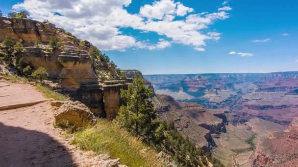 Grand Canyon, USA s keři a trávou za slunečného dne — Stock video