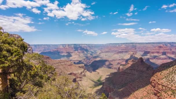Grand canyon, Etats-Unis avec buissons et herbe par une journée ensoleillée — Video