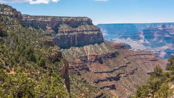 Gran cañón, EE.UU. con arbustos y hierba en un día soleado — Vídeos de Stock