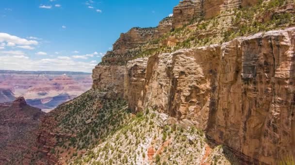 Grand Canyon, usa dengan semak-semak dan rumput pada hari yang cerah — Stok Video