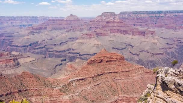 Grand canyon, usa with bushes and grass on a sunny day — Stock Video