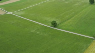  Güzel yeşil tarlalardan geçen bir yol 