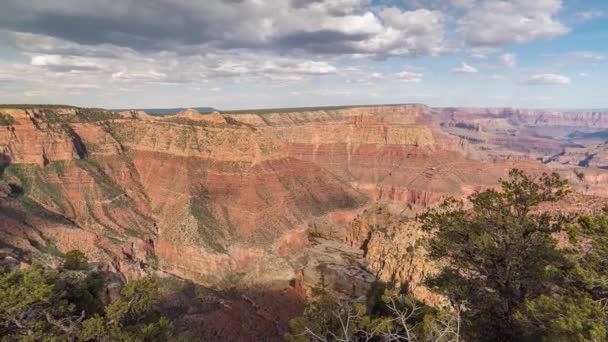 Gran cañón, EE.UU. con arbustos y hierba en un día soleado — Vídeos de Stock