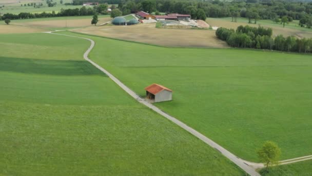 Egy út halad át a gyönyörű zöld mezőkön. — Stock videók