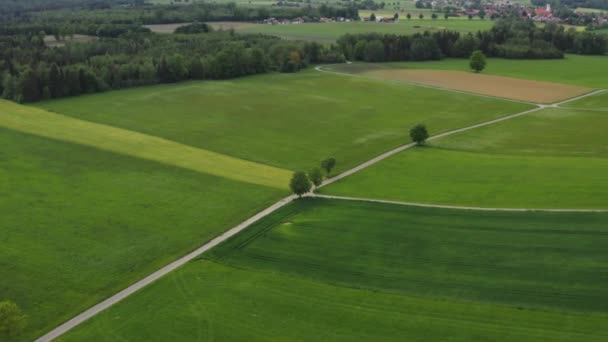 Uma estrada que atravessa as belas terras verdes — Vídeo de Stock