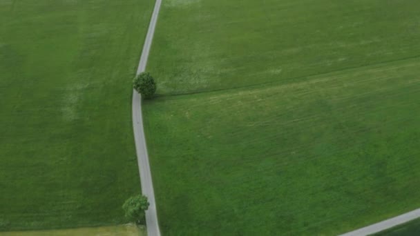 Uma estrada que atravessa as belas terras verdes — Vídeo de Stock