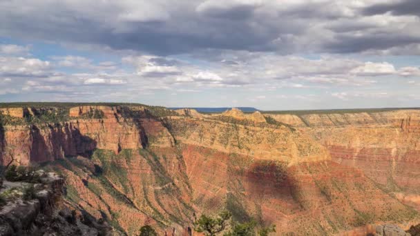 Des nuages traversent le Grand Canyon — Video