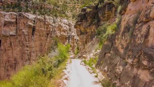 The Bright Angel Trail, Grand Canyon Ulusal Parkı, Arizona, ABD — Stok video