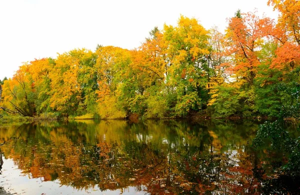 Park i höst — Stockfoto