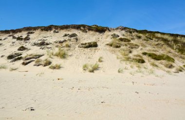 kum tepeleri ile peyzaj