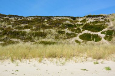 kum tepeleri ile peyzaj