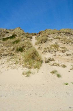 kum tepeleri ile peyzaj