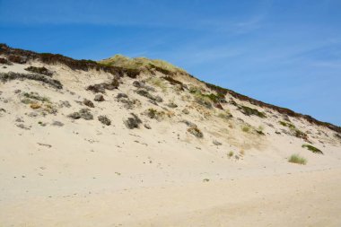 kum tepeleri ile peyzaj