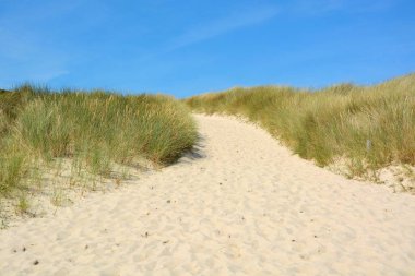 kum tepeleri ile peyzaj