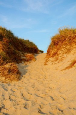 kum tepeleri ile peyzaj