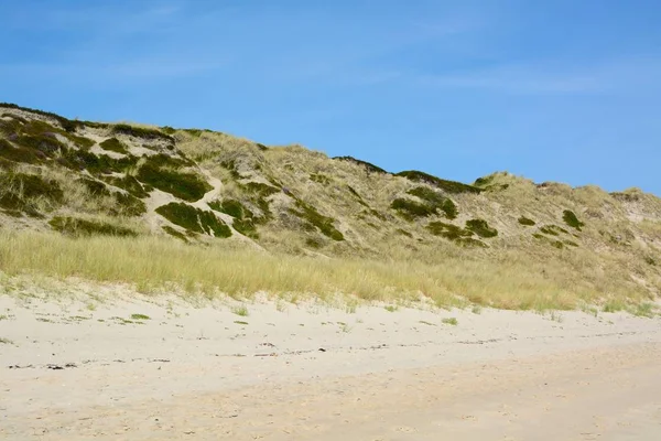 kum tepeleri ile peyzaj