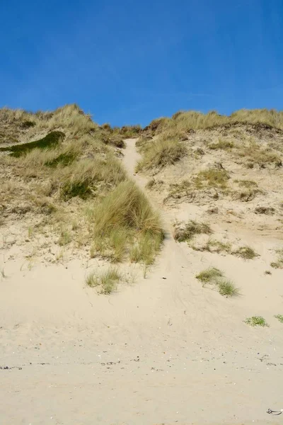 kum tepeleri ile peyzaj